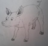 kresba (pouze tužka)